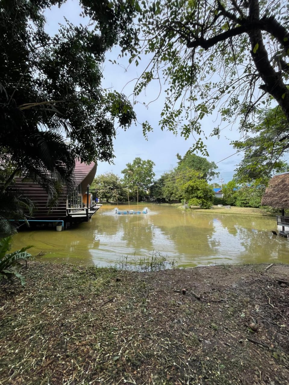 บ้านนกฮูก อิงธารา House in Laos