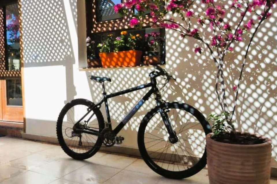 Shanti Garden House House in South Sinai Governorate