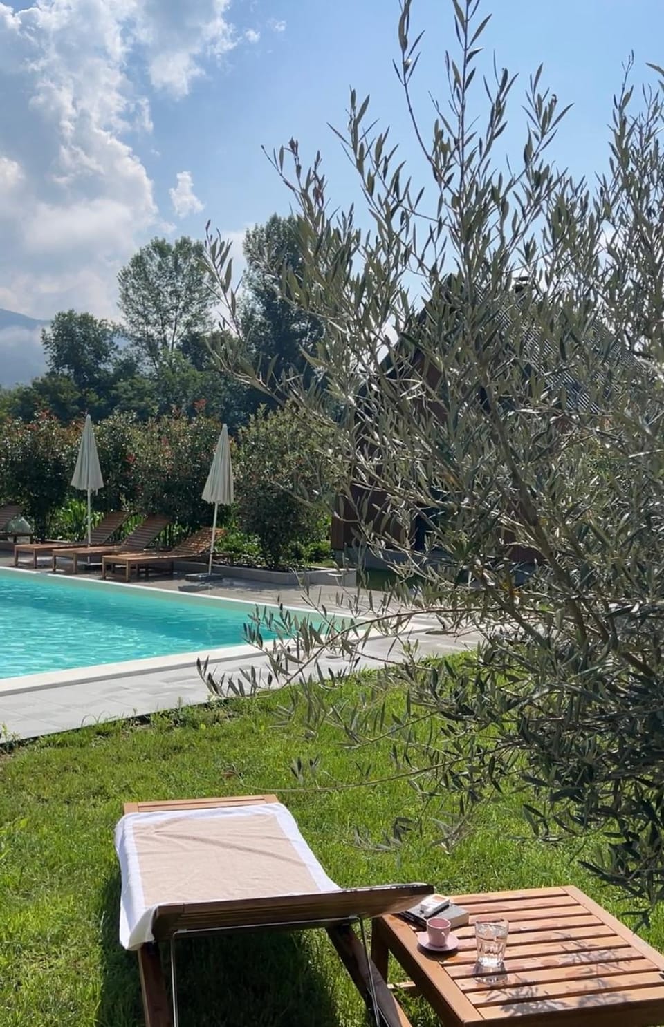 Garden, Pool view, Swimming pool, sunbed