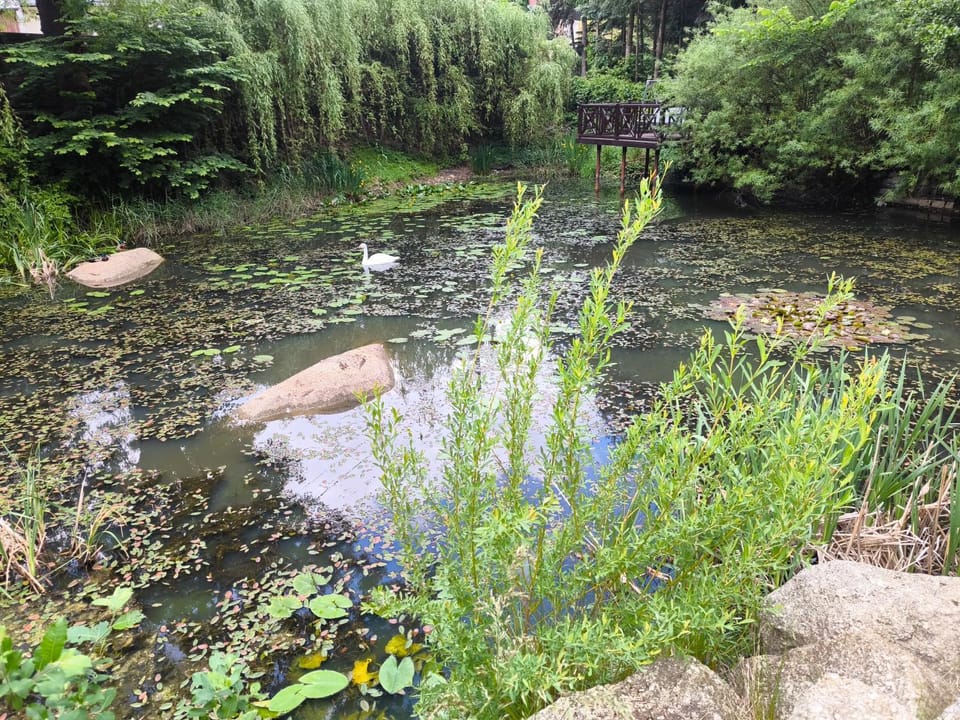 Apartamenty Nad Potokiem koło Karpacza Apartment in Lower Silesian Voivodeship
