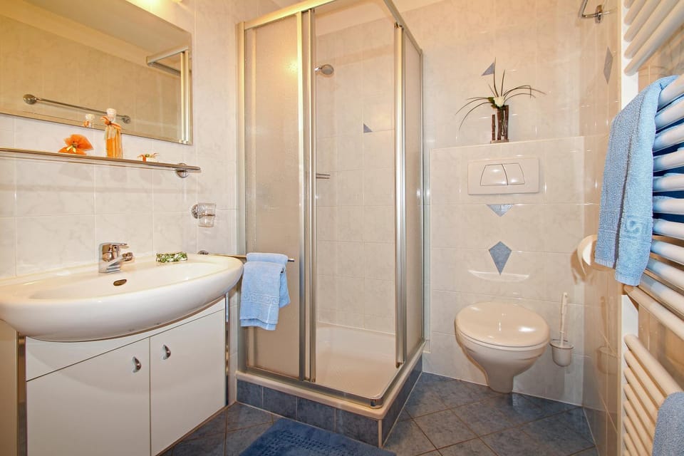 Shower, Toilet, Bathroom, Bathroom