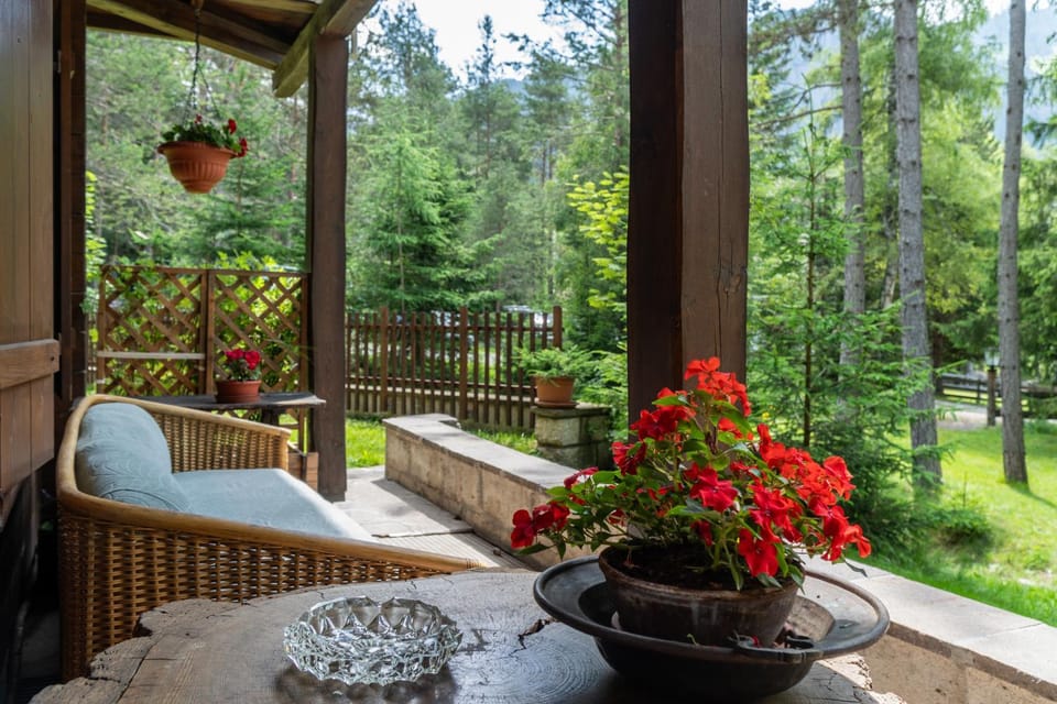 Patio, Spring, Garden, Garden view, Internal: Not applicable to any particular room