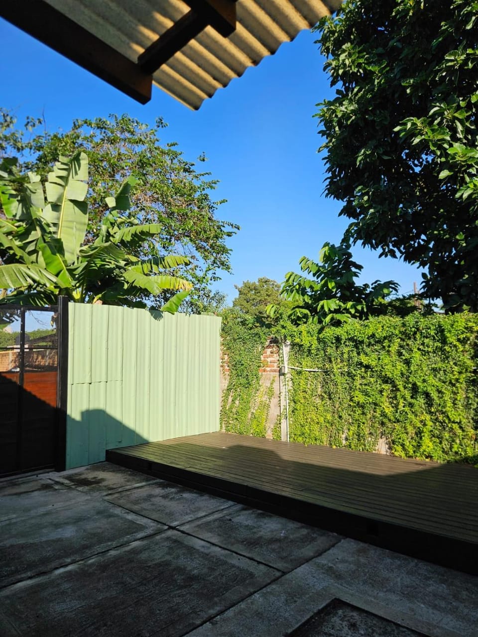 Garden view