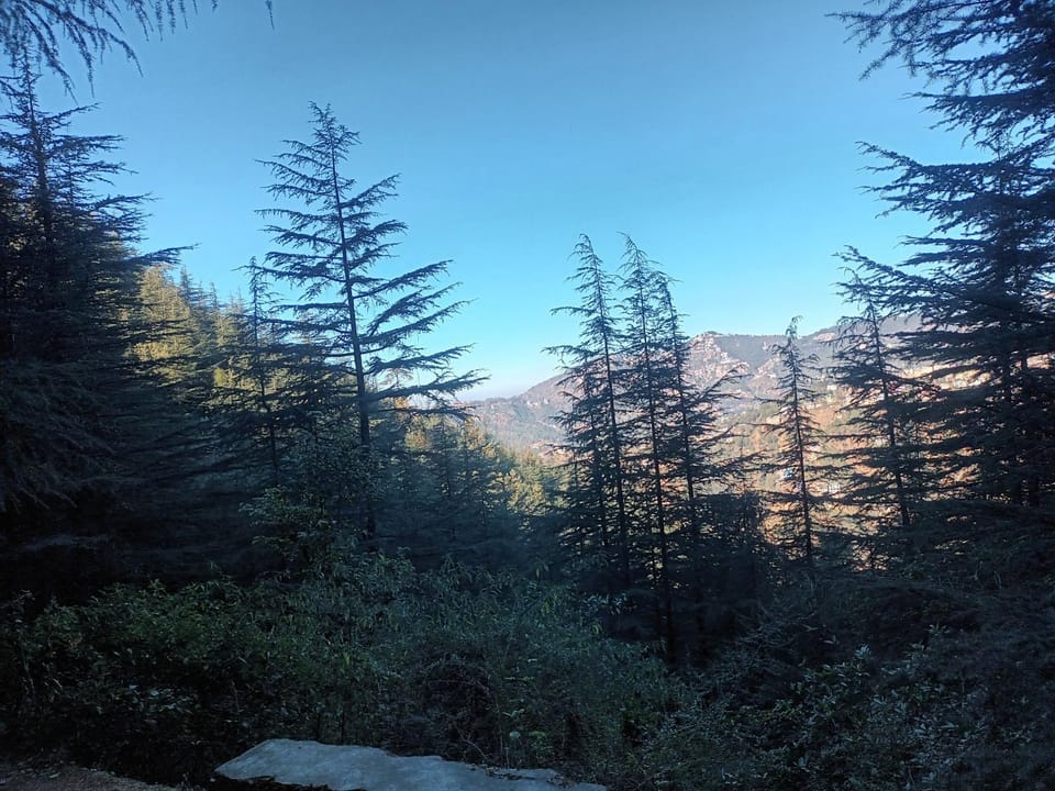Him Aaranya Home stay Shimla Farm Stay in Shimla