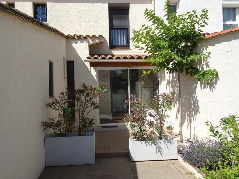 Patio, Garden