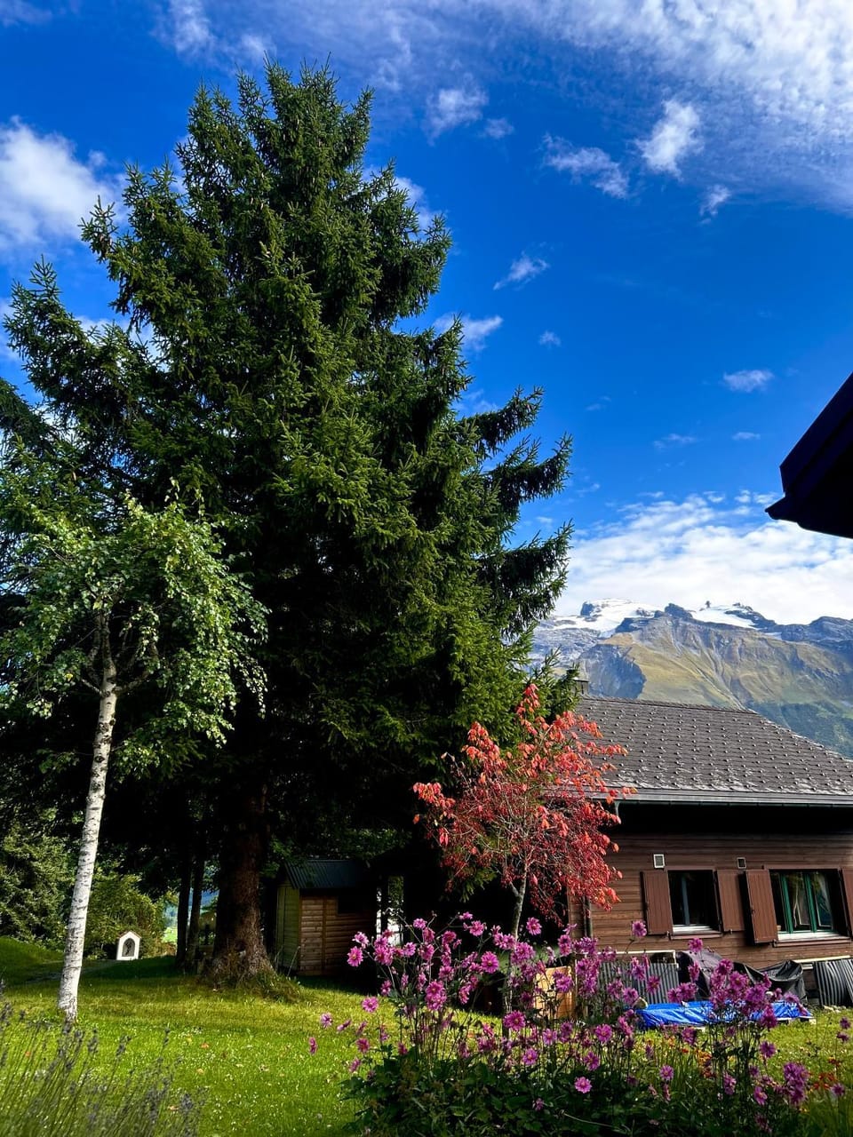 Cosy Chalet 87 in Engelberg with spectacular mountain and lake Views Chalet in Nidwalden