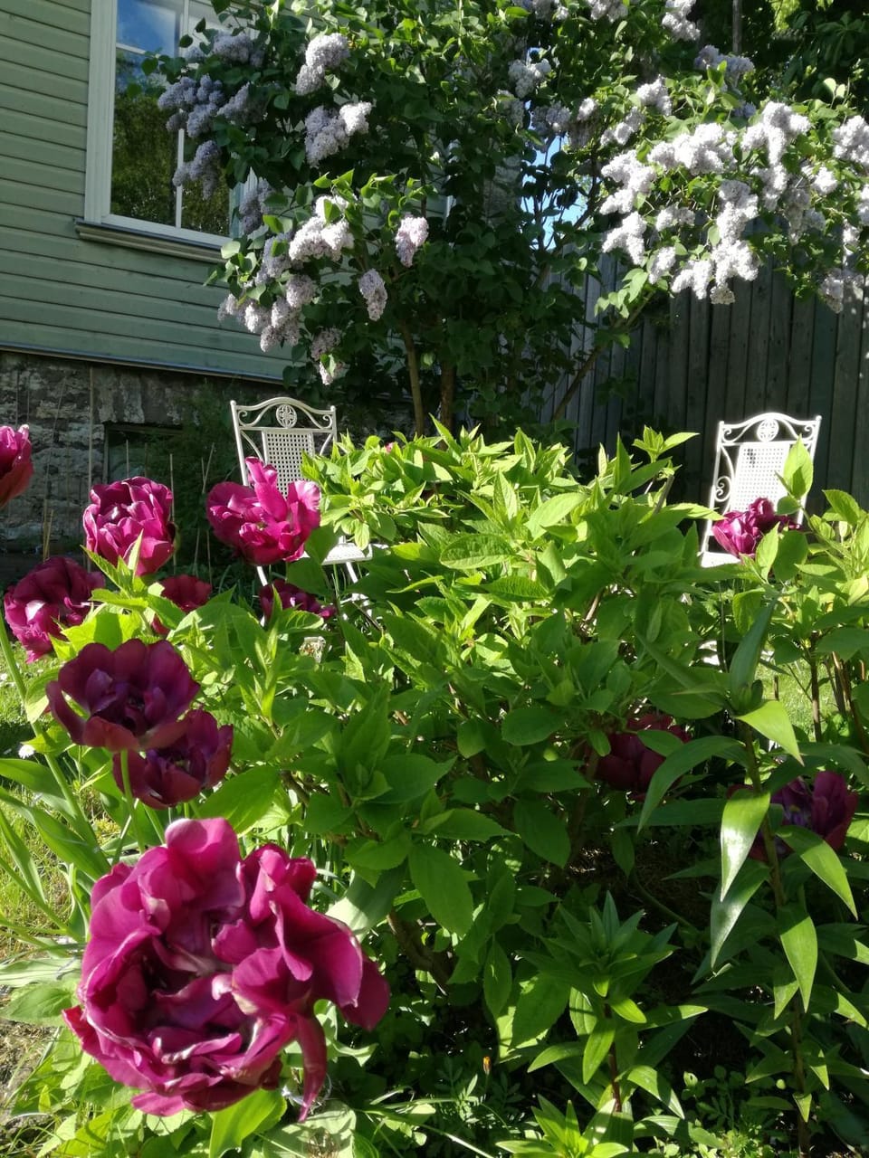 Spring, Garden, Garden view
