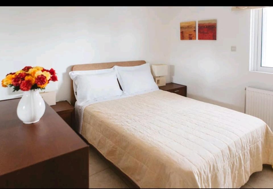 Chrisas hause Apartment in Peloponnese Region