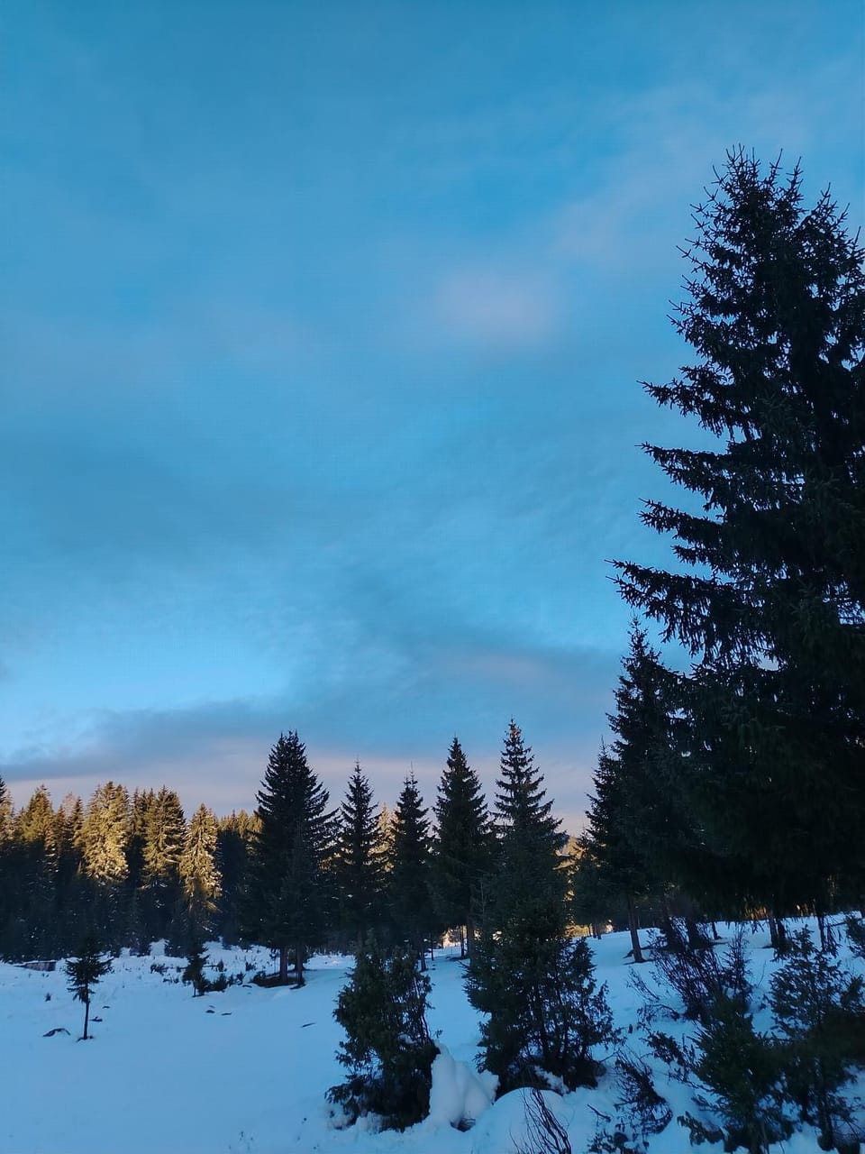 M&K chalets Chalet in Montenegro