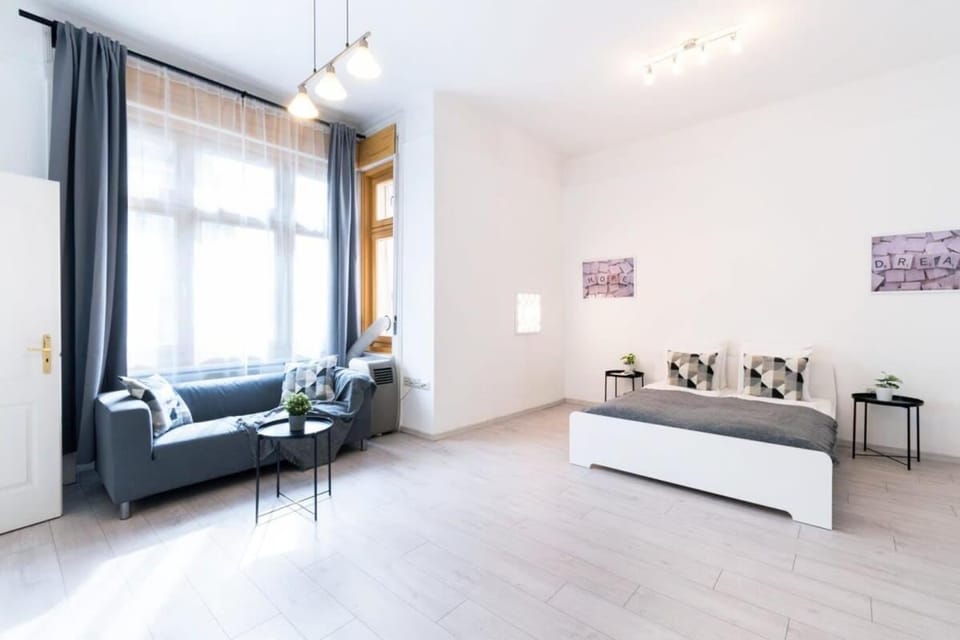 Spacious and comfy very central apartment Apartment in Budapest