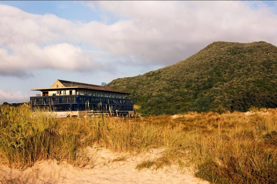 Property building, Natural landscape, Beach