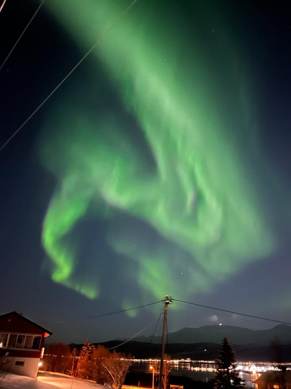 Arctic Comfort Senja Apartment in Nordland, Norway