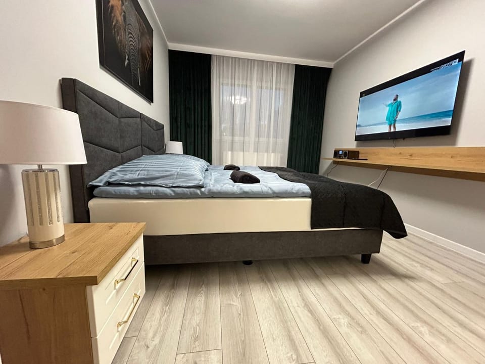 Solanki Central Apart Apartment in Greater Poland Voivodeship