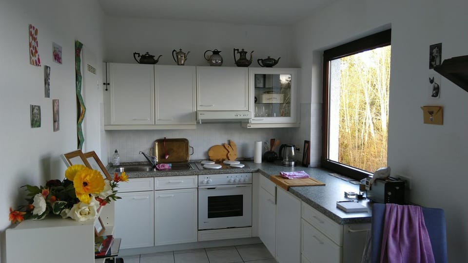Coffee/tea facilities, Kitchen or kitchenette, pet friendly, stove, toaster