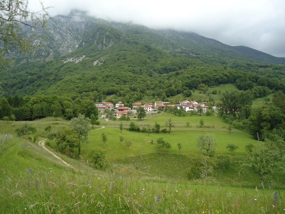Natural landscape