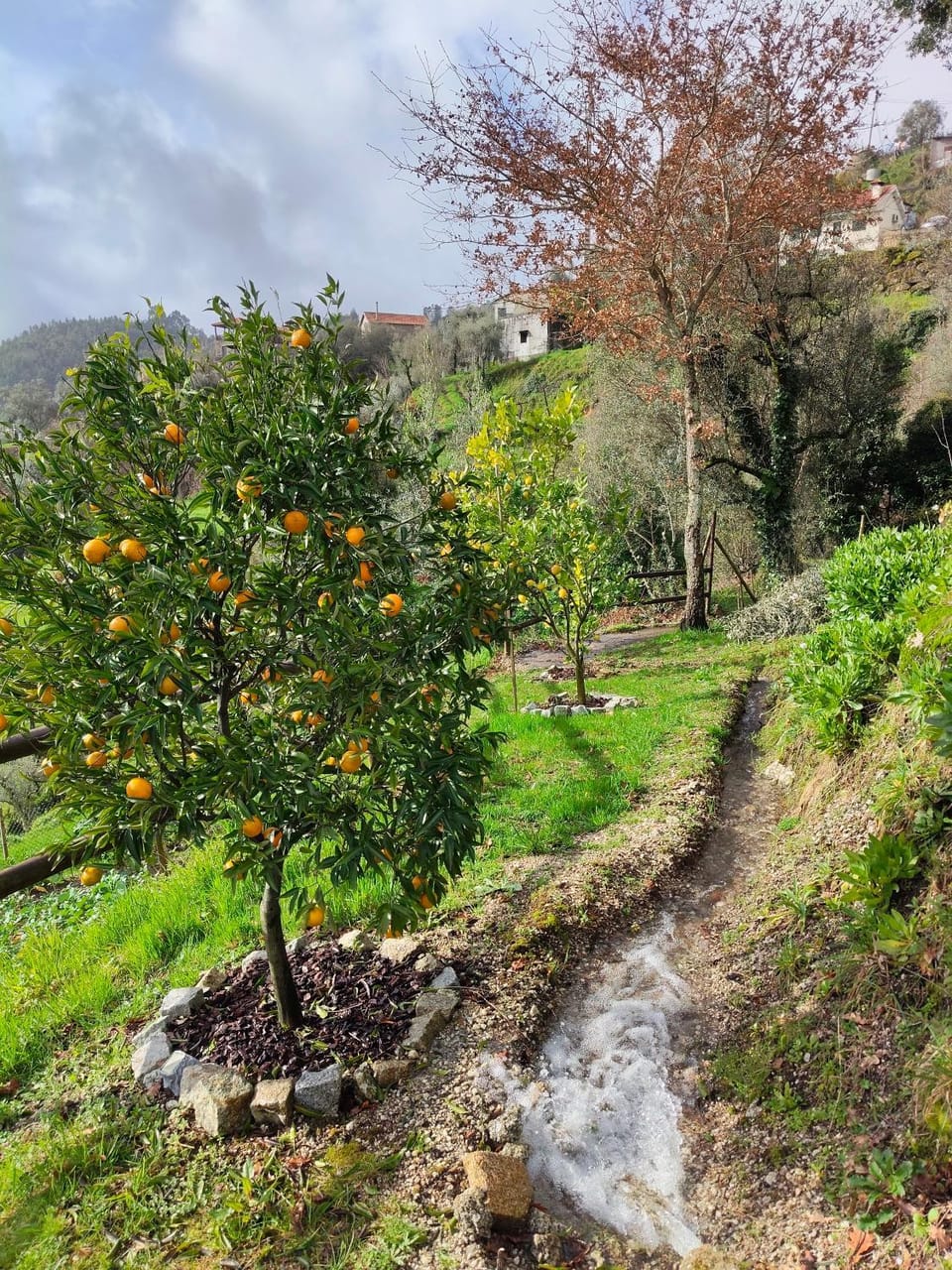 A Casa da Japoneira CB House in Porto District