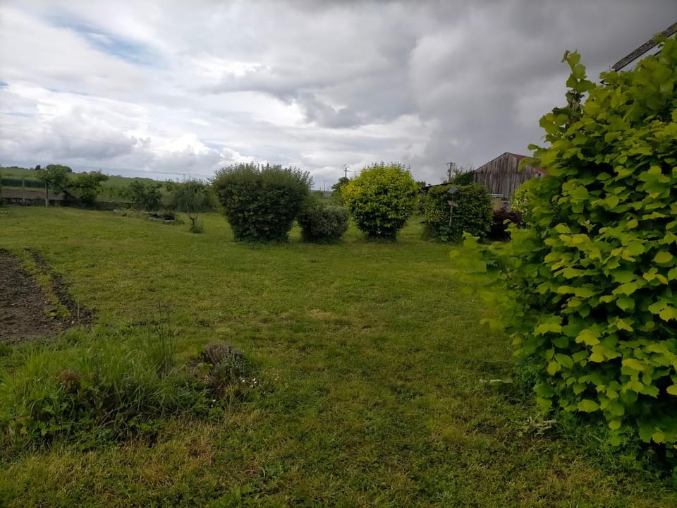 Day, Natural landscape, Garden, Garden view
