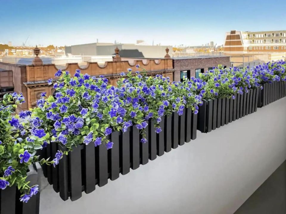 Spring, Day, City view