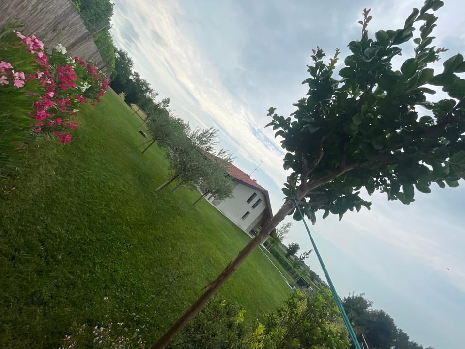 Property building, Spring, Natural landscape, Garden, Garden view
