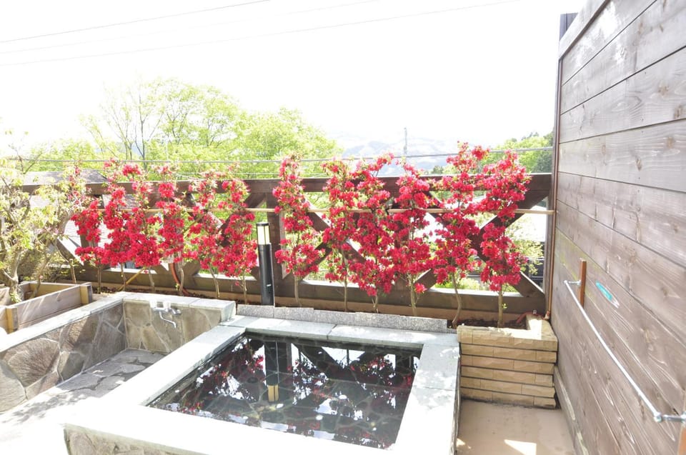 Hot Spring Bath, Open Air Bath