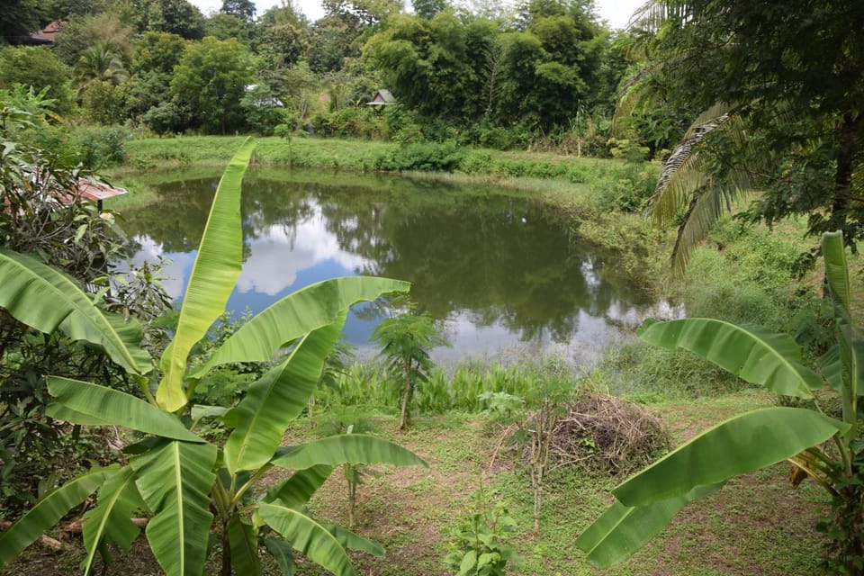Garden, Lake view
