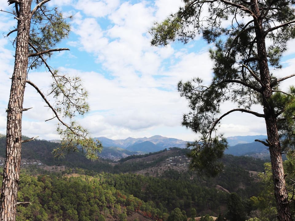Mountain view