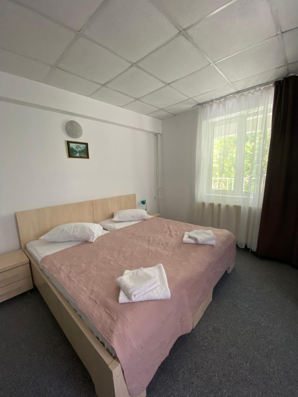 Pensiunea Ambasador Bed and Breakfast in Serbia