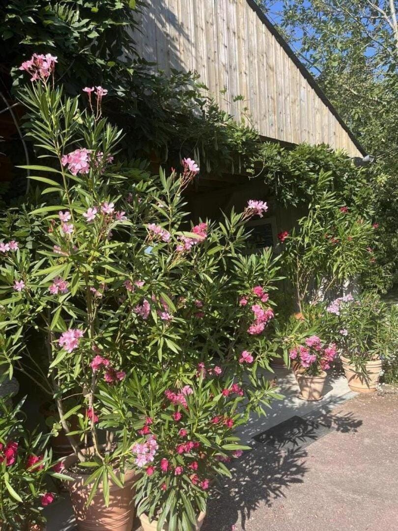 Les petites landes House in Brittany