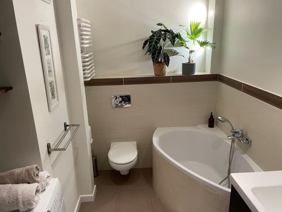 Comfortable apartment in Warsaw Bielany Apartment in Warsaw