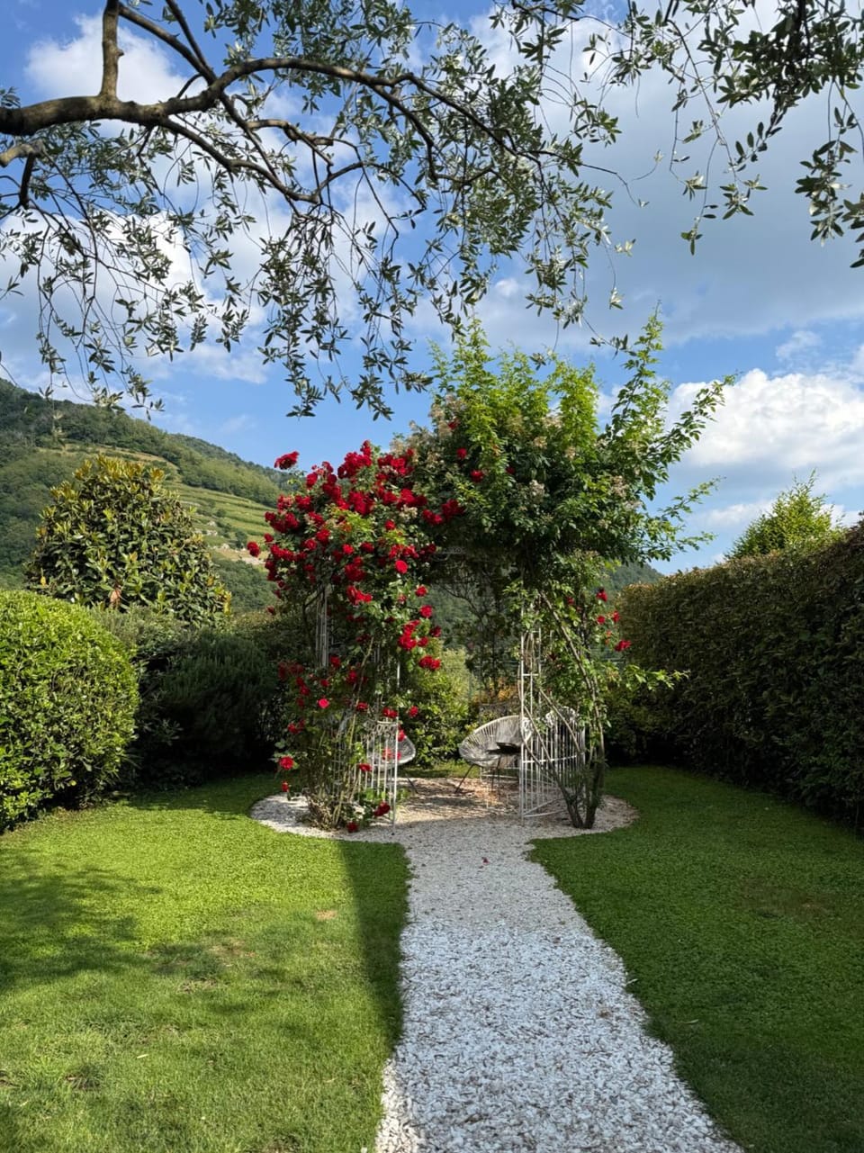 Garden, Mountain view