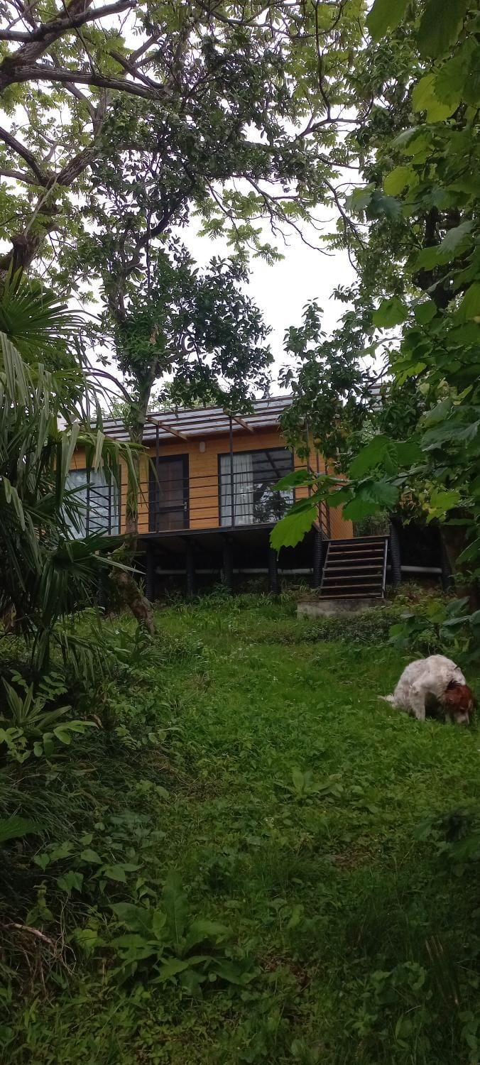 Kottage anania Chalet in Adjara, Georgia
