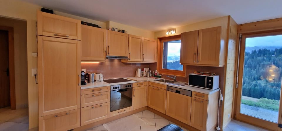 Kitchen or kitchenette, dishwasher, minibar, pet friendly, stove