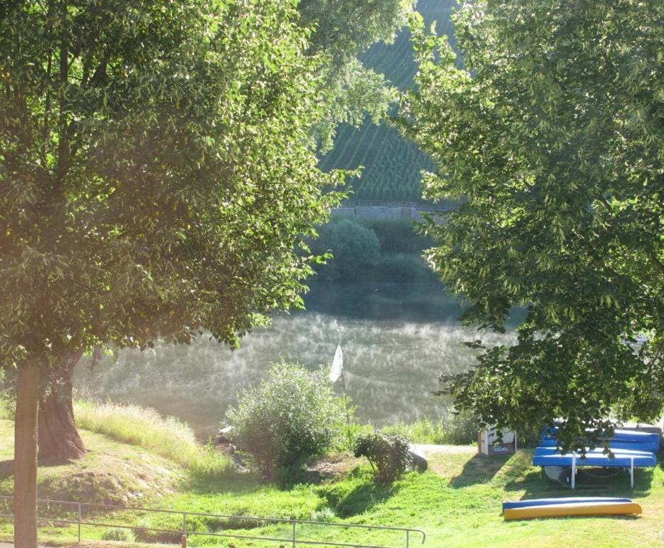 Garden, River view
