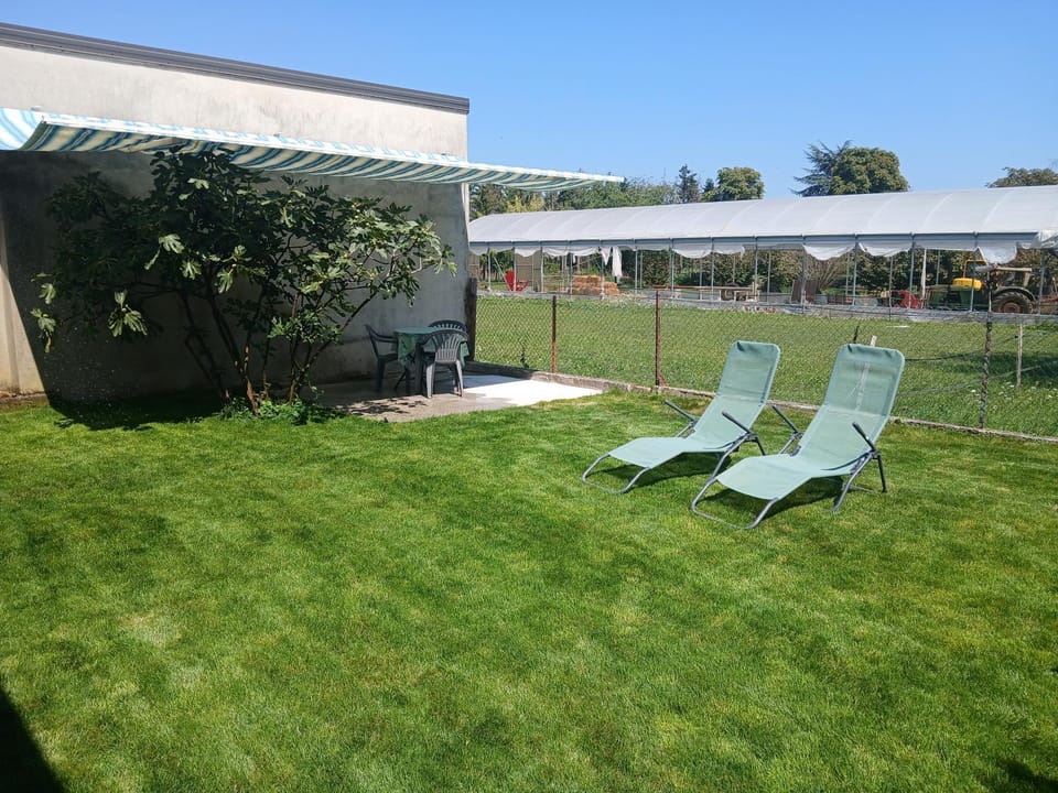 Gîte doux repos en campagne 10 min Colmar Apartment in Colmar