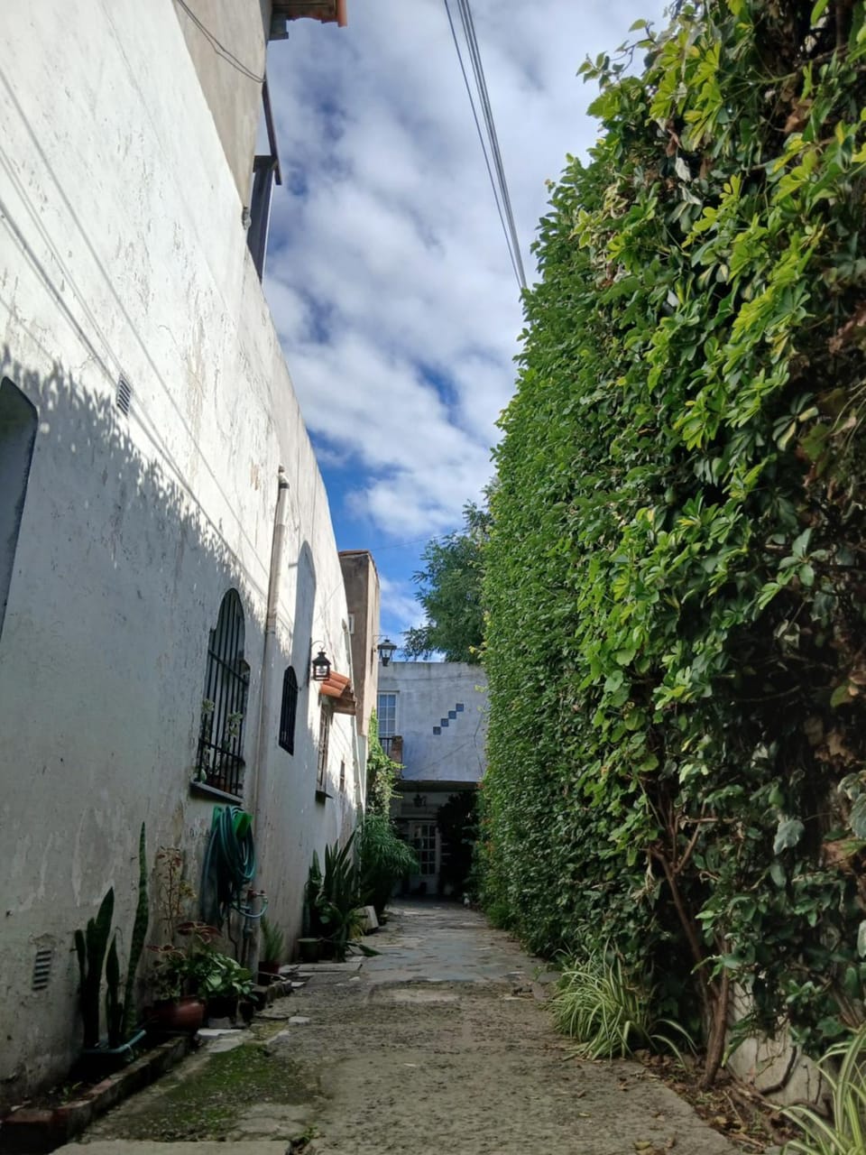 Garden view
