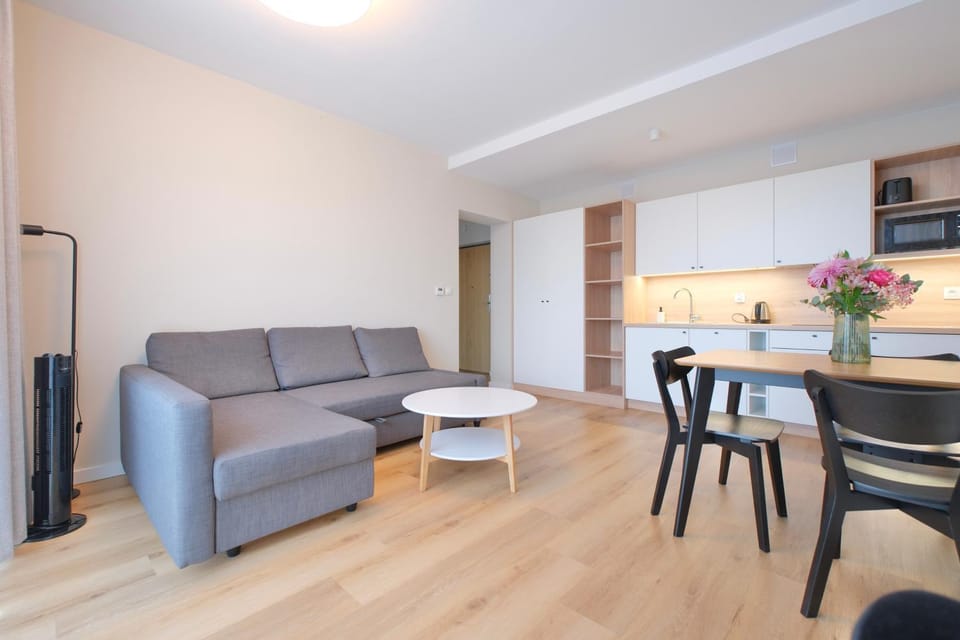 Kitchen or kitchenette, Living room, Seating area