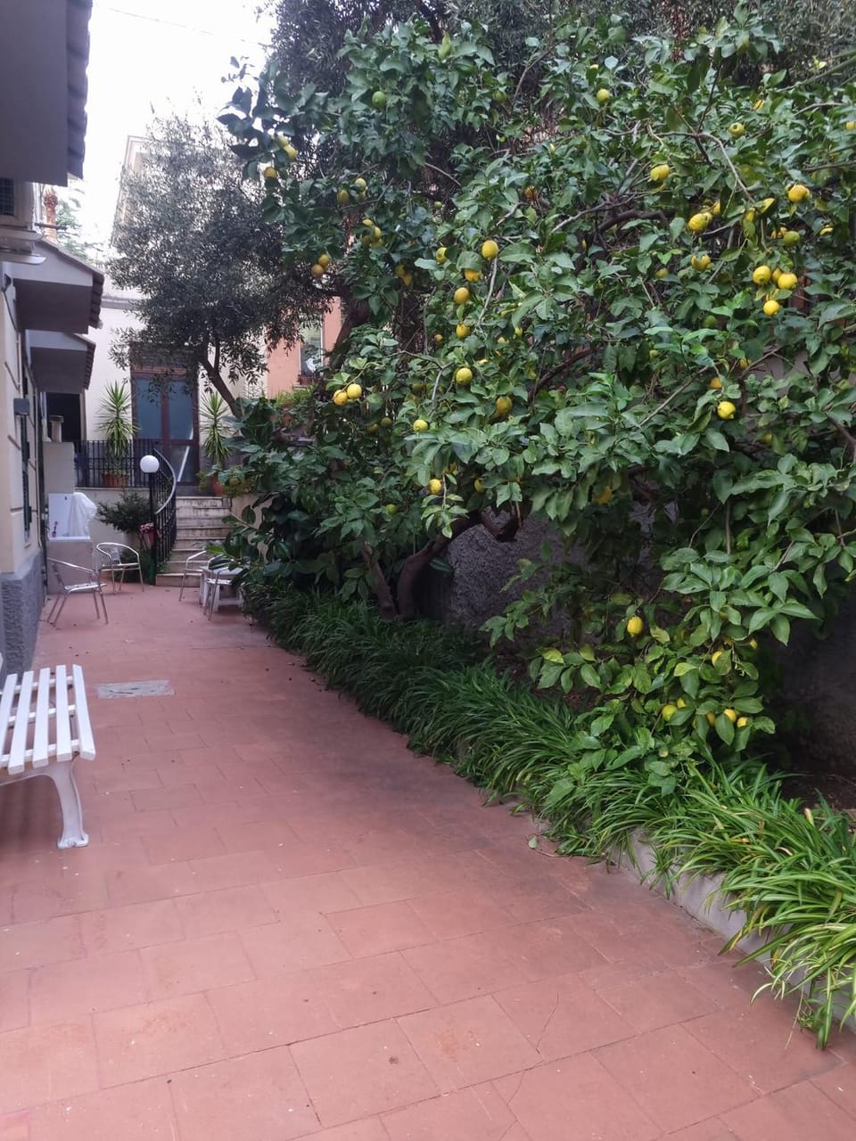 Garden, Garden, View (from property/room), Balcony/Terrace, Garden view