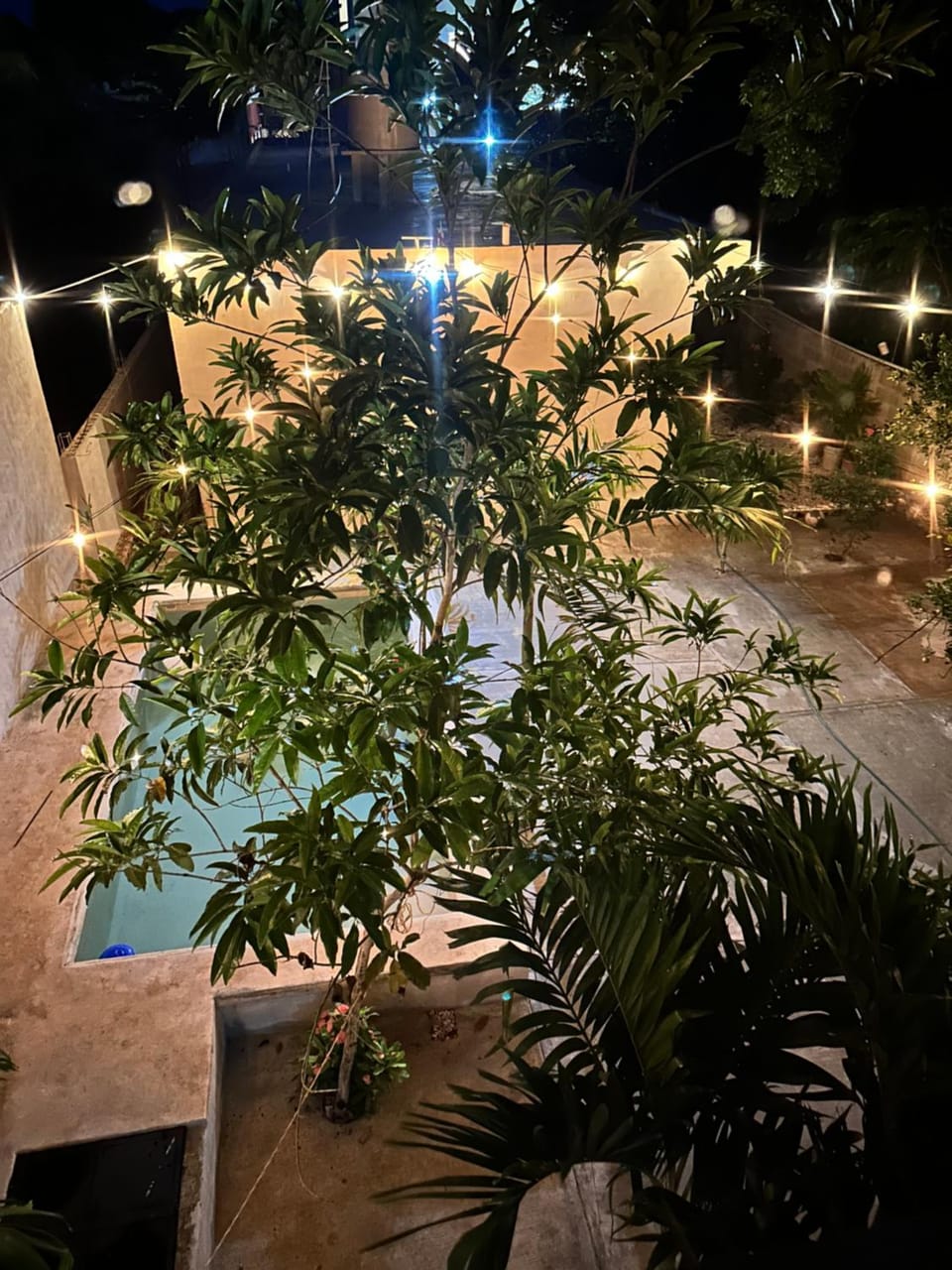 Night, Garden, Garden view, Swimming pool