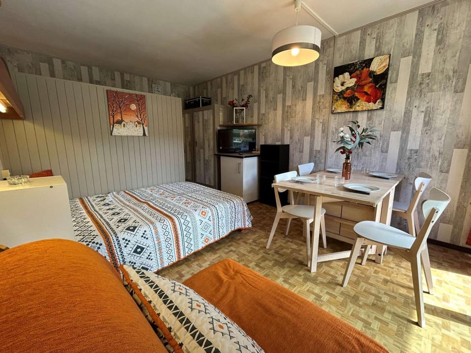 Studio confortable, à 50m des pistes, pour 4 pers., parking, wifi, animaux admis Apartment in Provence-Alpes-Côte d'Azur