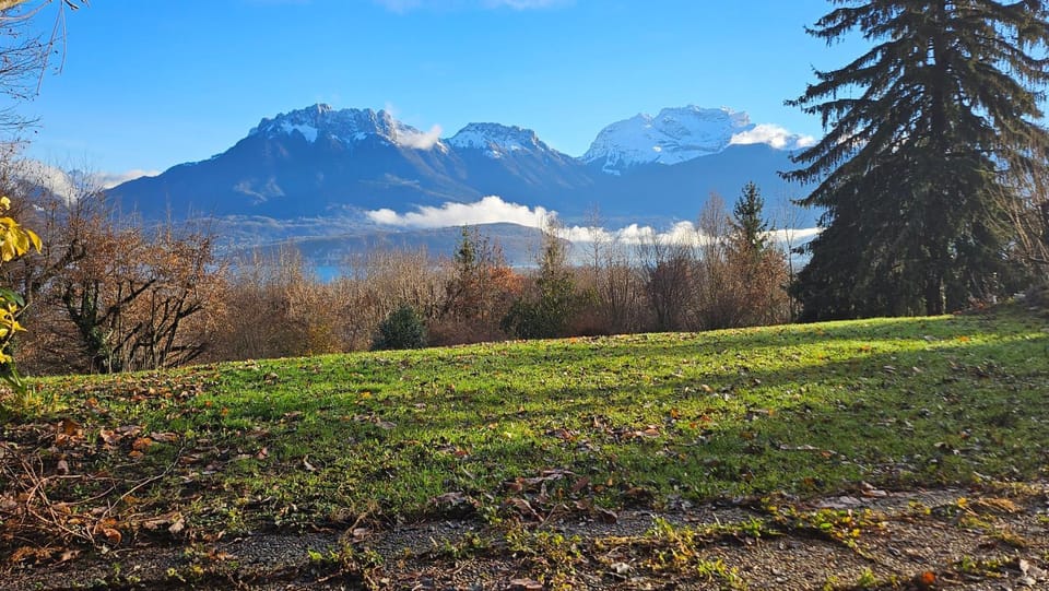 Patio, Winter, Garden view, Sunrise