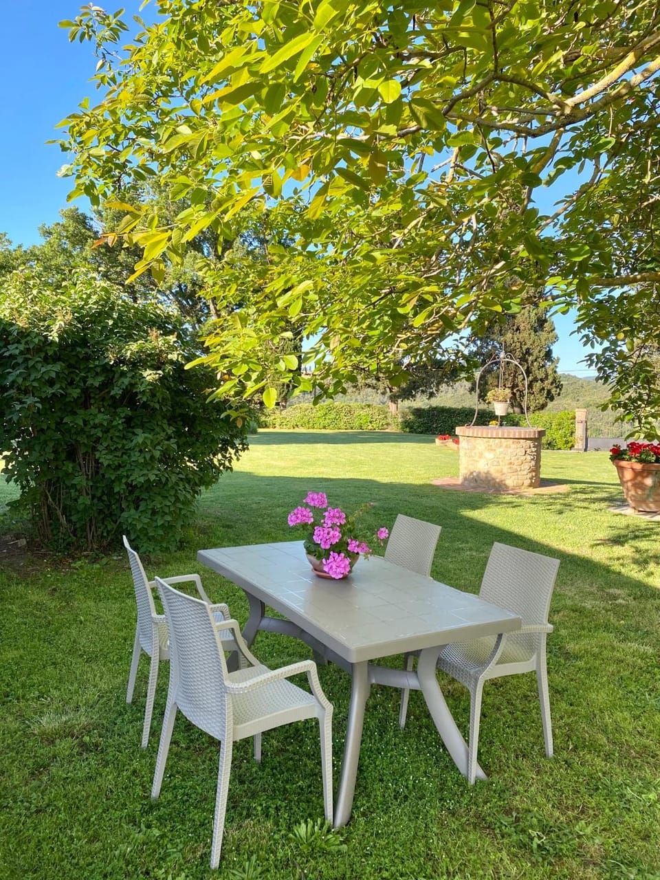 Natural landscape, Garden, Dining area, Garden view