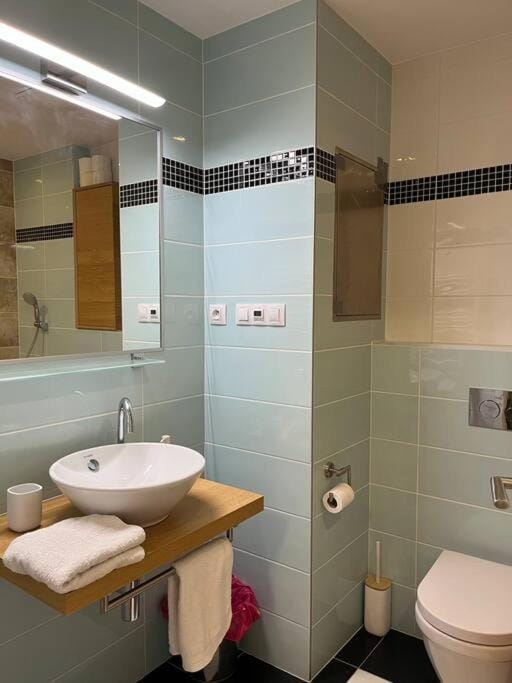 Apartment in historical center with park view Apartment in Czechia