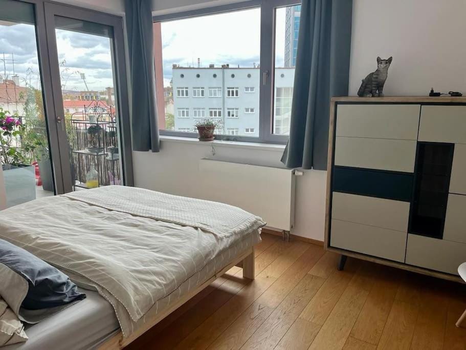Apartment in historical center with park view Apartment in Czechia