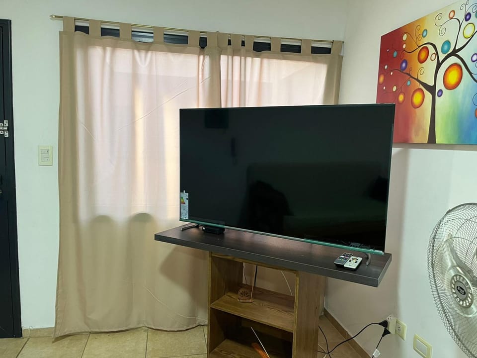 TV and multimedia