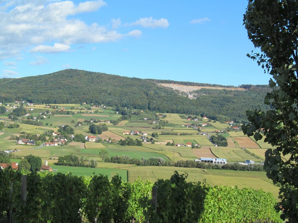 Appartement Weingut Schoberhof Apartment in Styria