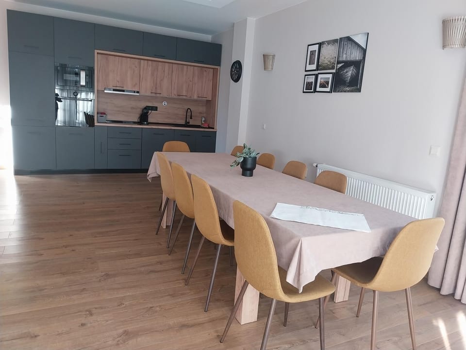 Kitchen or kitchenette, Dining area, stove