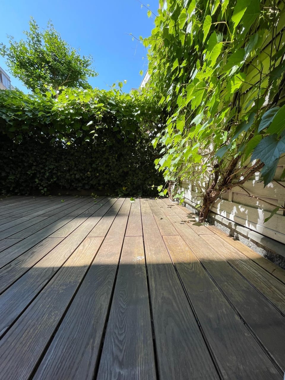 Balcony/Terrace, Balcony/Terrace