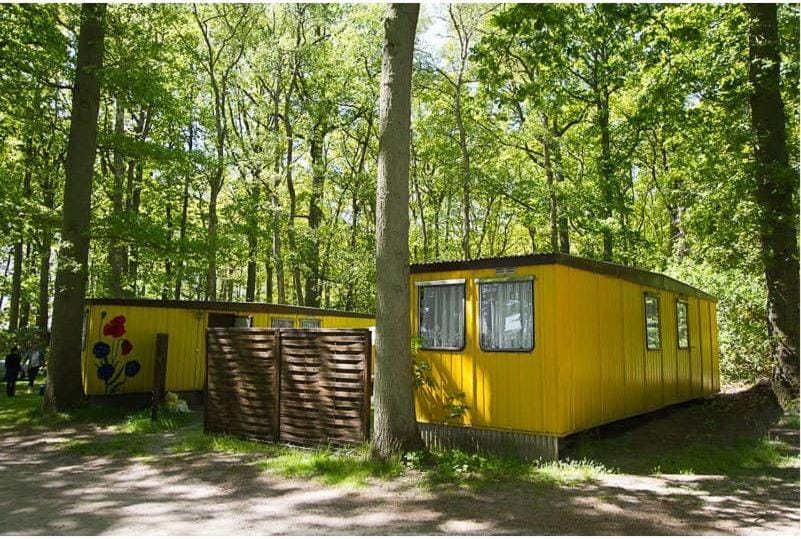 Bungalow WALD & SAND direkt am Strand House in Mecklenburg-Vorpommern, Germany
