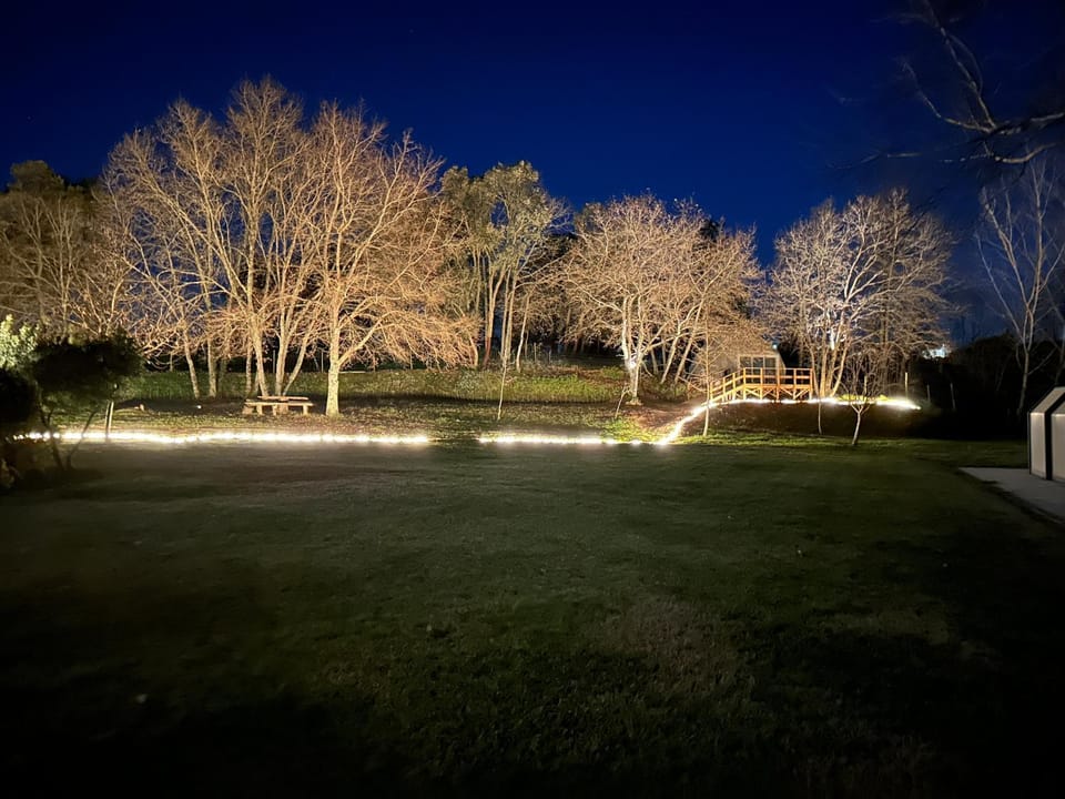Night, Garden, Garden view