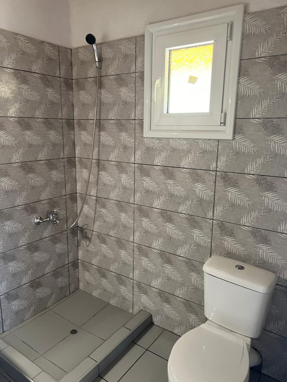 Shower, Toilet
